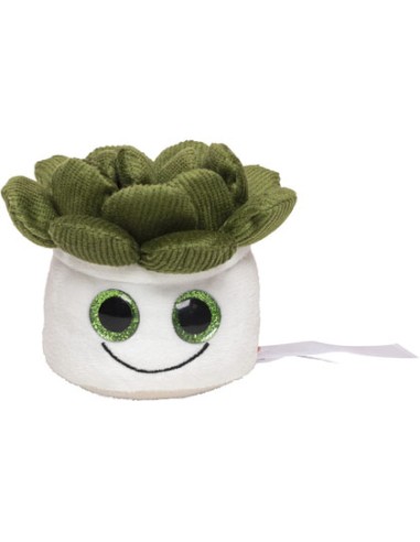 MBW-M160849-Schmoozies® Evergreenies® Succulent